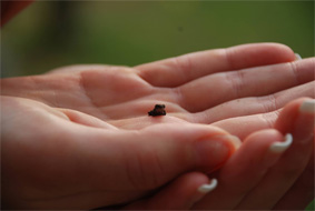 Colloque éco-campus 2 : un franc succès ! 