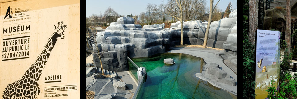 Parc Zoologique de Paris ! Réouverture le 12 avril