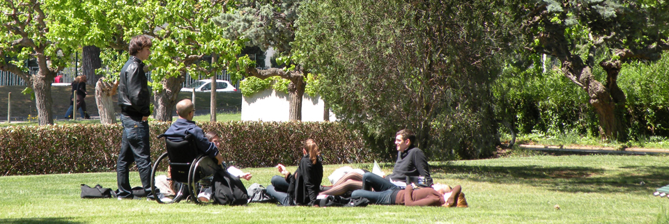 Conférence du 18 juin : La politique Handicap des universités