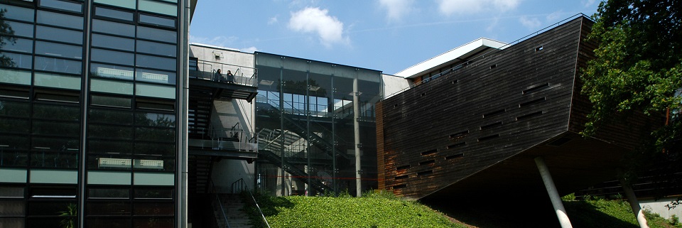 Regards croisés : Alain Gonzalez et Gilles Roussel - La formation tout au long de la vie à l’Université