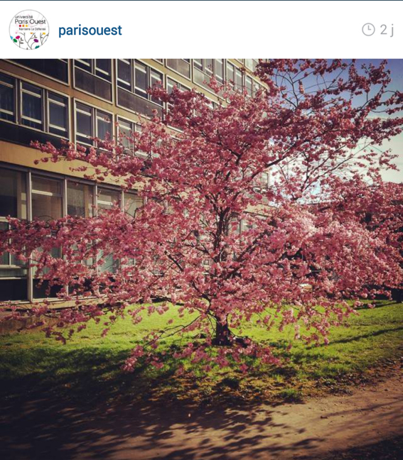 Screenshot_2015-04-02-08-32-14_resized