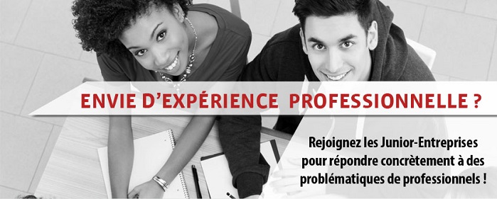Les Junior-entreprises : se démarquer en milieu professionnel