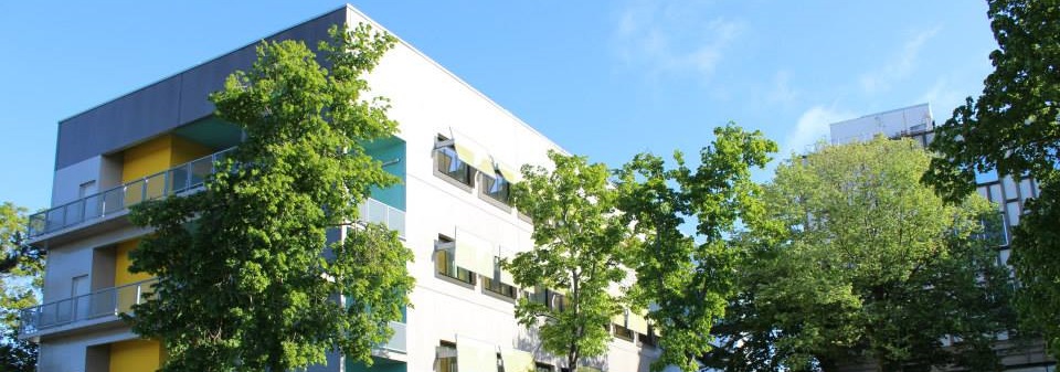 Managers énergie : un métier d’avenir à l’université