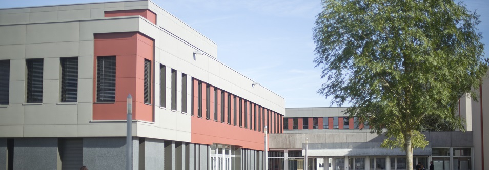 Le développement durable au coeur de la stratégie universitaire : le regard de Lionel Vinour, de l’université de Poitiers