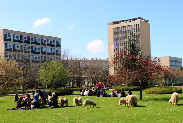 Développement durable et responsabilité sociétale : 10 établissements labellisés