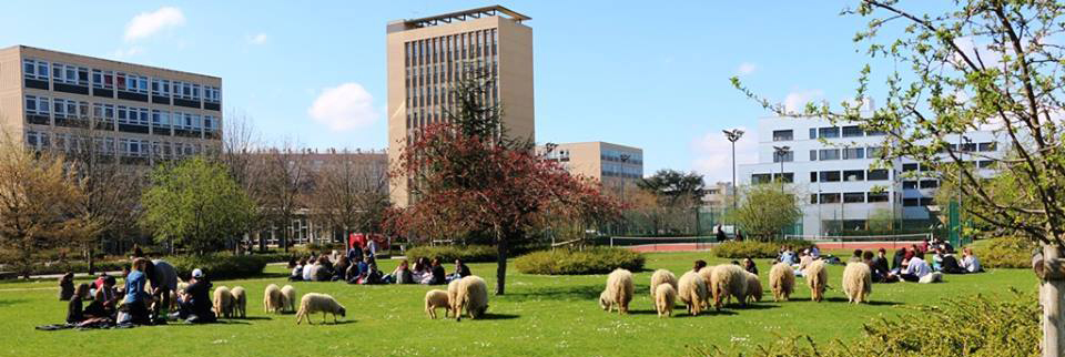 Concours 1, 2, 3 Campus : les noms des gagnants dévoilés