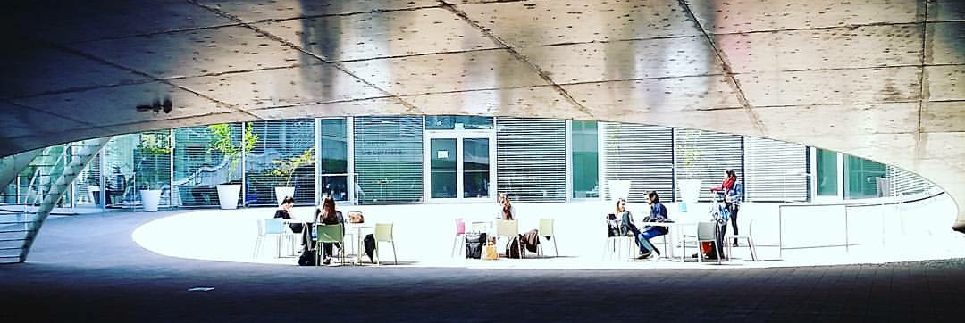 Vie de campus : s’inspirer des modèles économiques étrangers innovants