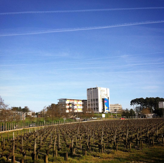 Screenshot_20170331-093825