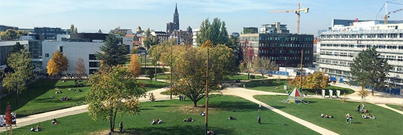 Revue de presse - Vendredi 28 Juin 2019