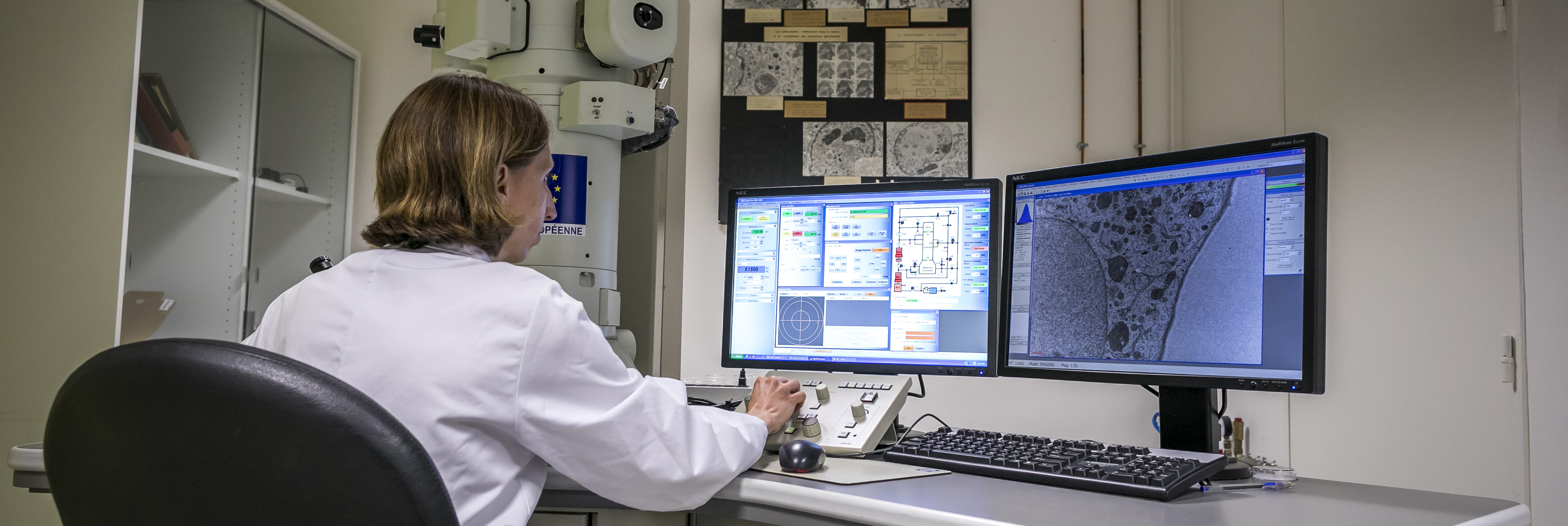 Revue de presse - Vendredi 29 Novembre 2019