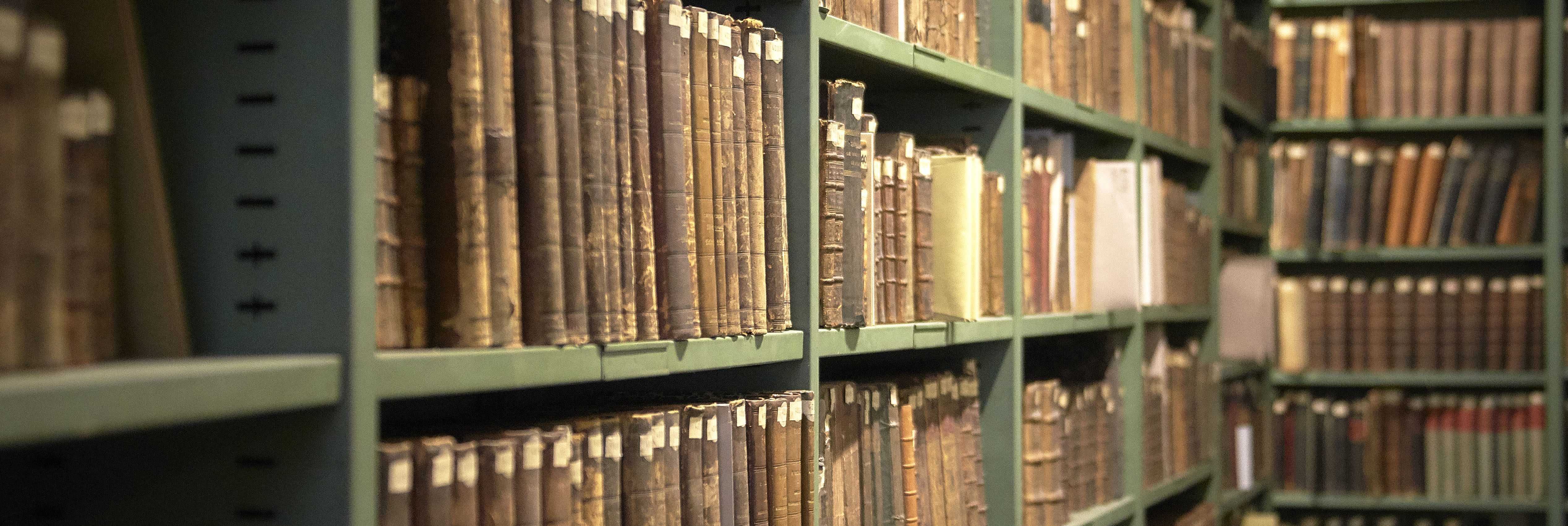 Revue de presse - Vendredi 15 Novembre 2019