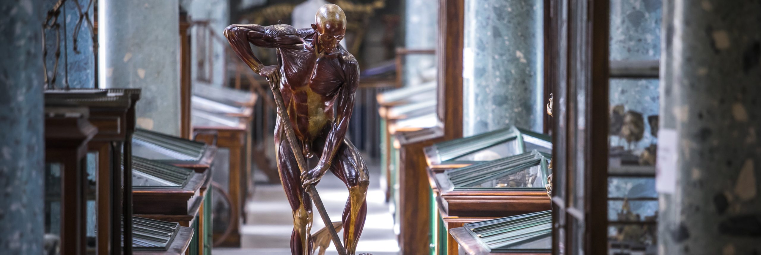 Les universités dans la presse durant l'été