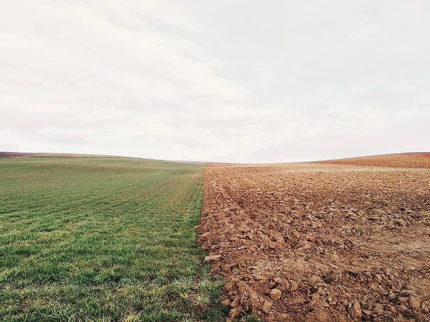 [Initiative] Les sols, la clé vers la neutralité carbone ?