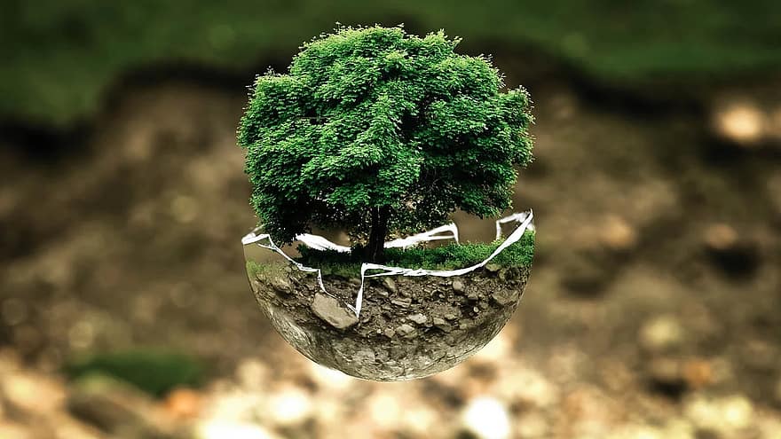 [Éclairage] Questionner la préservation de la biodiversité au moyen des aires protégées