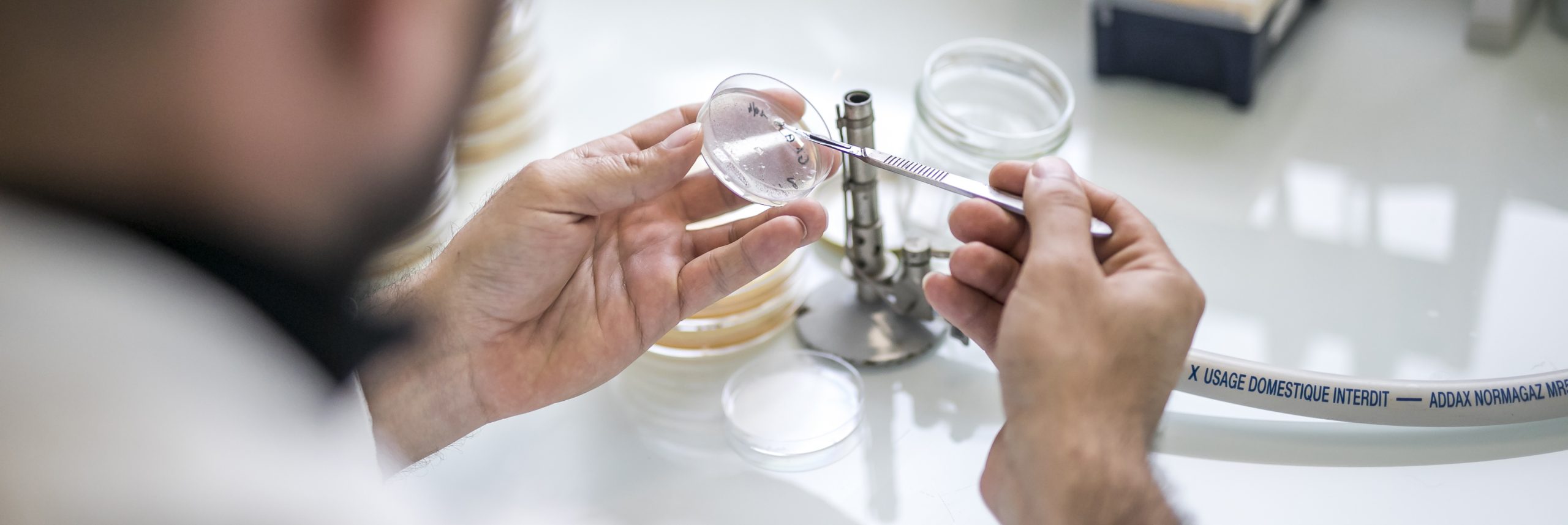 Revue de presse : Vendredi 25 septembre 2020