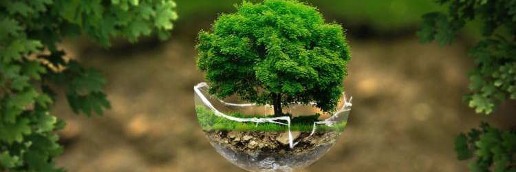 L'instant recherche n°15 - Environnement de demain : la recherche pour anticiper le monde des générations futures