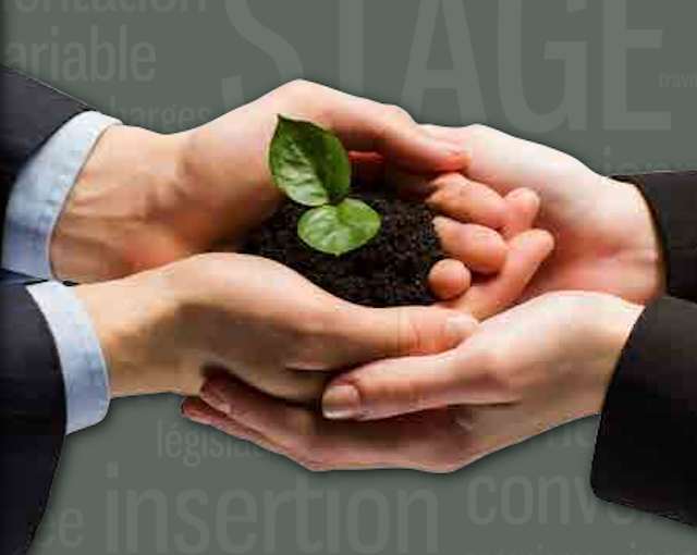 Conférence nationale des stages étudiants : l’accent sur les acteurs de la professionnalisation des étudiants