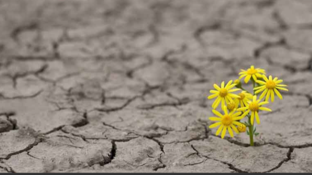 Journée mondiale du climat : Agir ensemble pour des campus durables