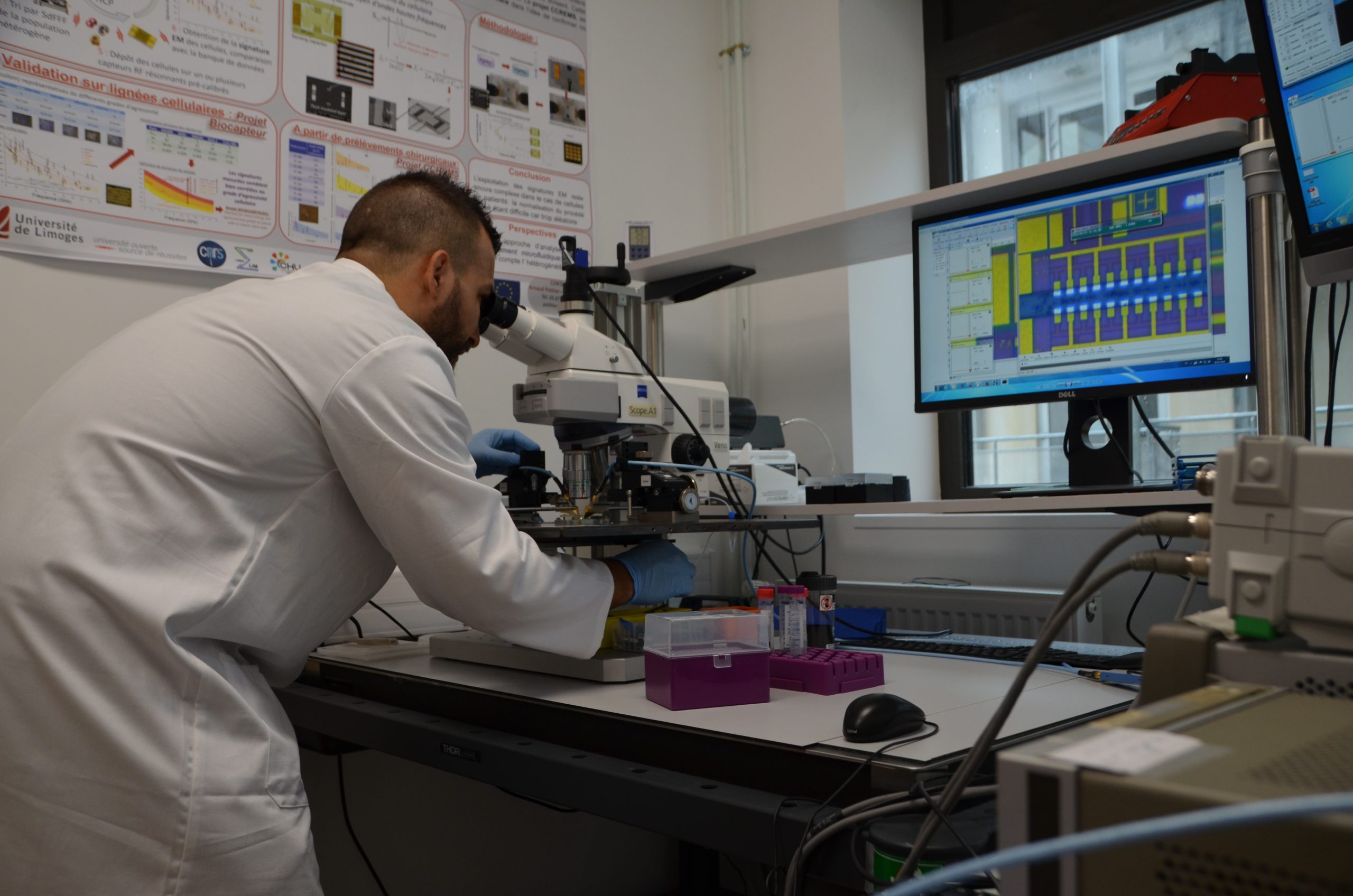 [Éclairage] Pour lutter contre le cancer du cerveau : détecter les cellules souches pour les neutraliser