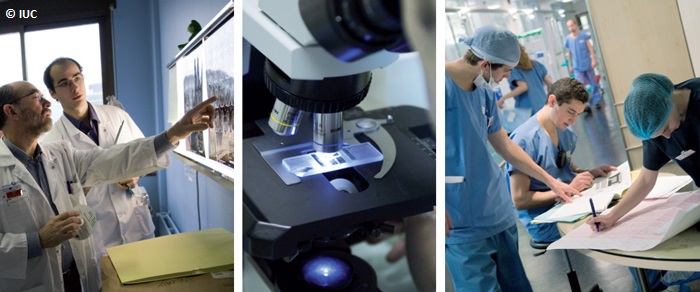 [Éclairage] Recherche en sciences et humanités, deux piliers essentiels de la lutte contre le cancer