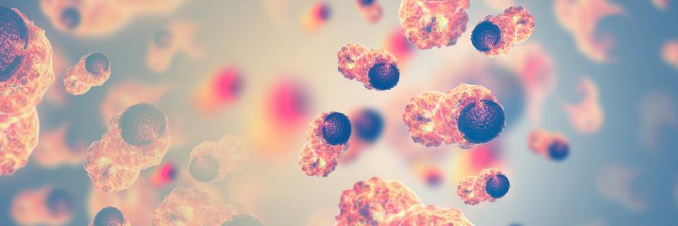 L'instant Recherche n°18 - Dans les universités, l’avenir de la lutte contre le cancer