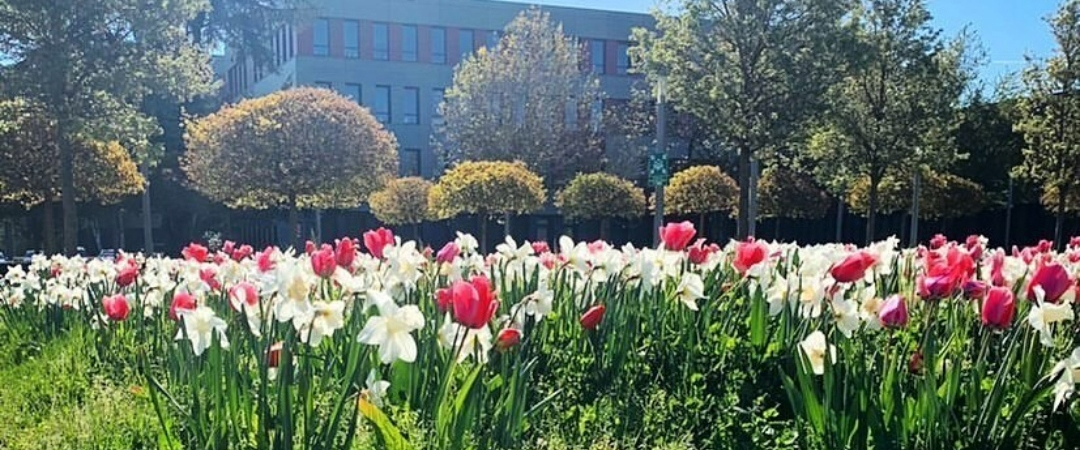 Revue de presse - Vendredi 16 Avril 2021