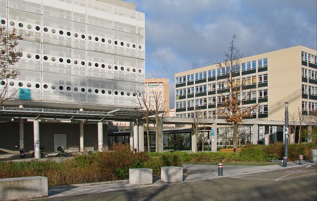 Pour René Rémond, « l’Université est une société en miniature » : l’analyse de Christine Musselin et Alain Abécassis (ép.2)