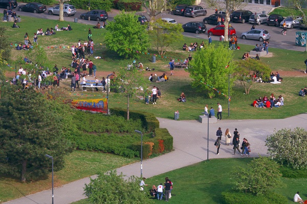 « La règle et le consentement » : un livre à lire et à relire pour Christine Musselin et Alain Abécassis (ép 4)