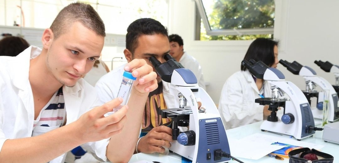 Revue de presse - Vendredi 17 juin 2022