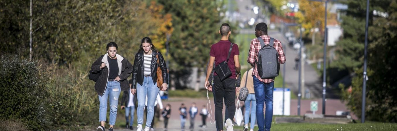 Transition écologique : « former 100% des étudiants » dans un futur proche