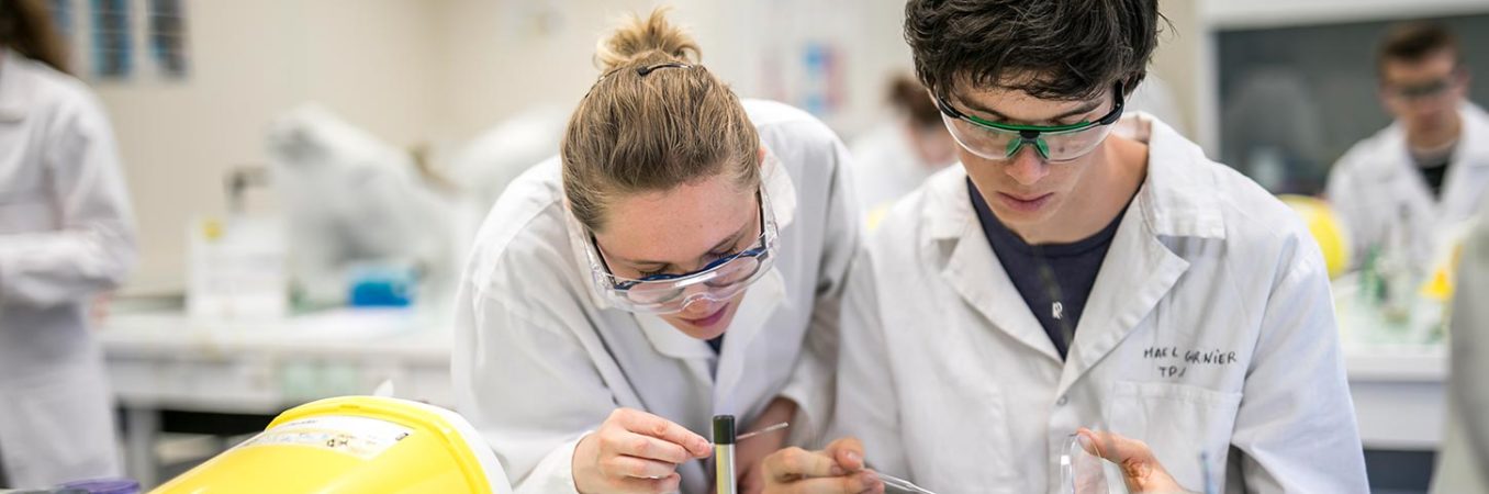 L’Université aujourd’hui