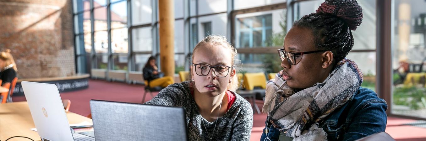 L’Université en chiffres