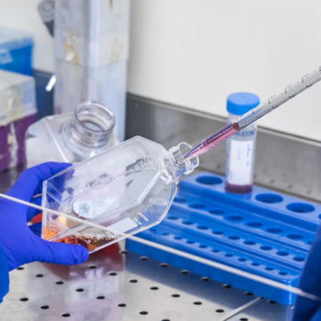 France Universités : Relancer la recherche biomédicale en France