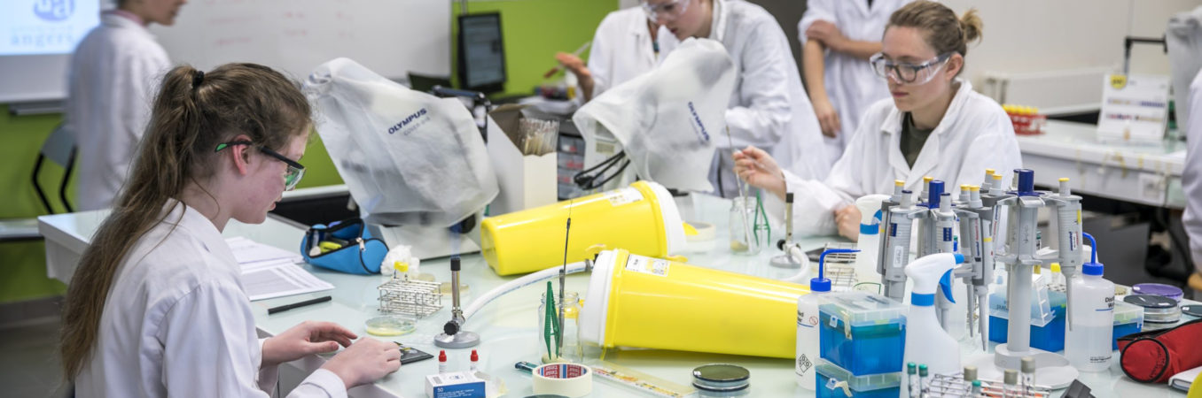 Revue de presse - vendredi 13 octobre 2023