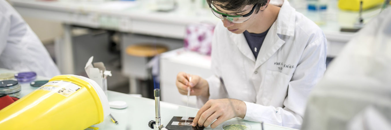 Revue de presse - Vendredi 10 novembre 2023