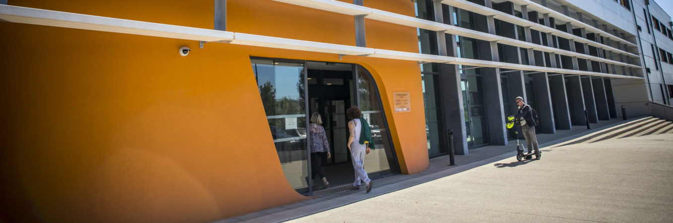 L’Université : une boussole pour la démocratie