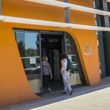 L’Université : une boussole pour la démocratie