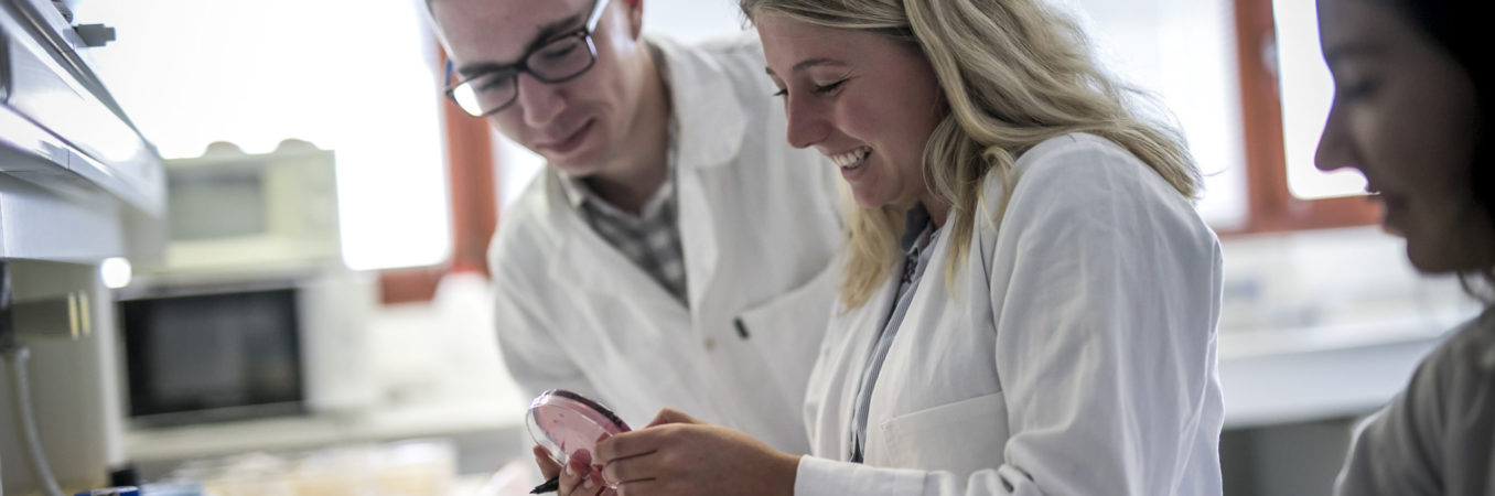 Revue de presse : vendredi 5 juillet 2024